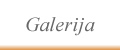 Galerija