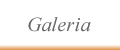 Galeria